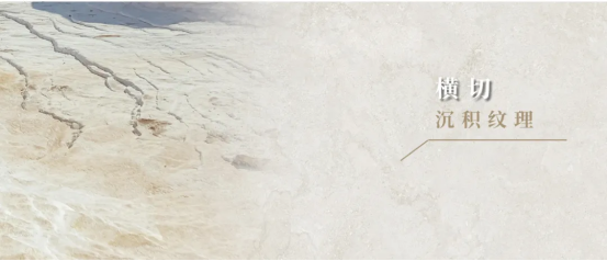 新2会员管理·(中国)官方网站