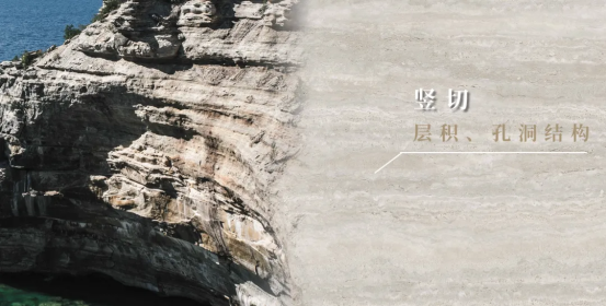 新2会员管理·(中国)官方网站